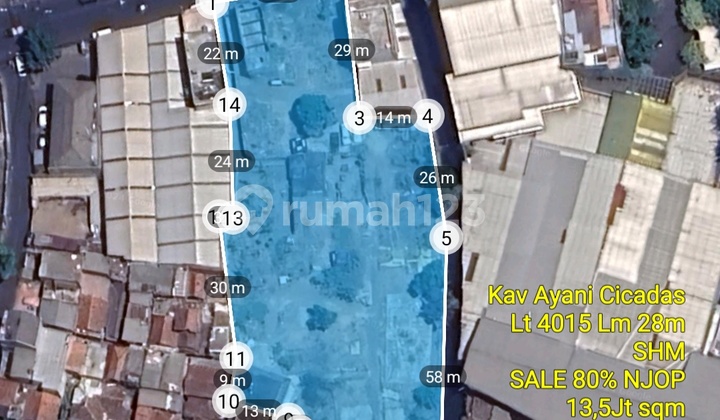 Kav Mainroad AYani Cicadas 80% NJOP