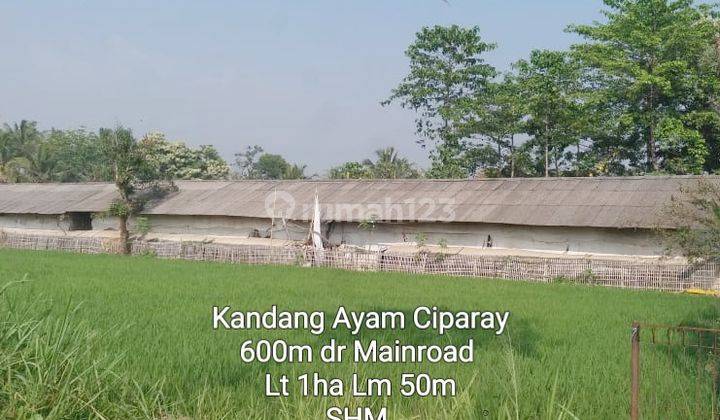 Kandang Ayam Ciparay  1