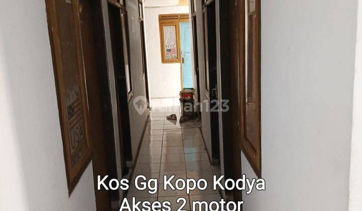 Kos Kopo Kodya 1