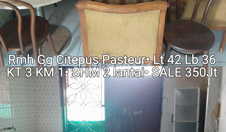 Cheapest Pasteur Wing Alley House Cheapest Pasteur Wing Alley House