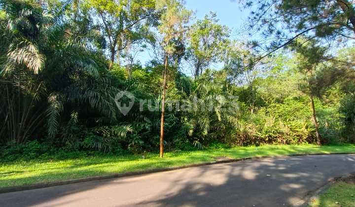 Kavling Harga Dibawah Njop Dekat Gerbang Northridge Sentul City Kavling Harga Dibawah Njop Dekat Gerbang Northridge Sentul City