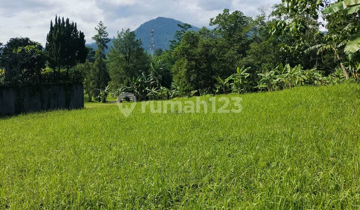 Di Jual Kavling Sertipikat Di Kawasan Elit Sentul City,view Gunung Depan Green Area Sentul City Bogor Di Jual Kavling Sertipikat Di Kawasan Elit Sentul City,view Gunung Depan Green Area Sentul City Bogor