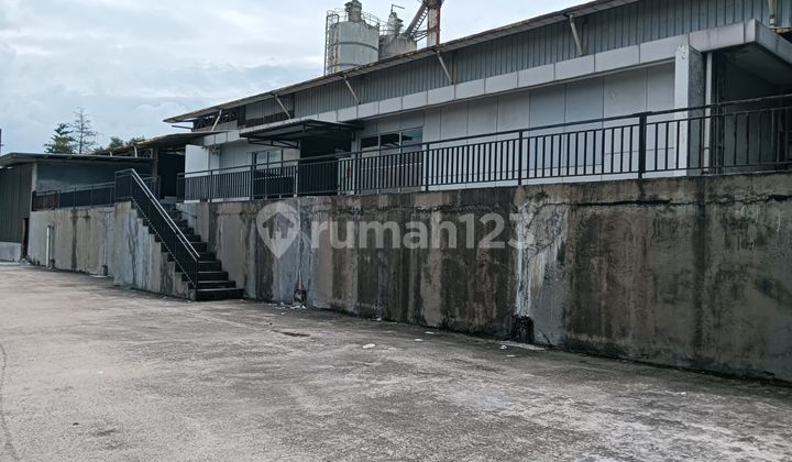 Land + Factory in Jawilan, Serang, size 33 ha, Price 80 billion