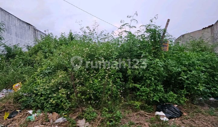 Land in Singotoro, Semarang 2