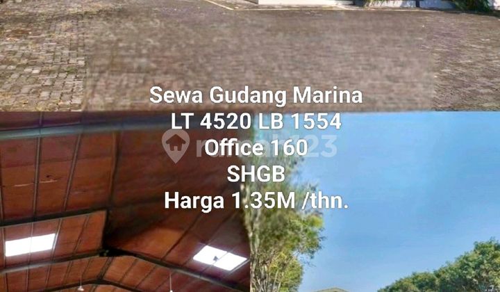 Flood-Free Ready-to-Use Marina Warehouse for Rent in a Strategic Area Near the Port Toll 2