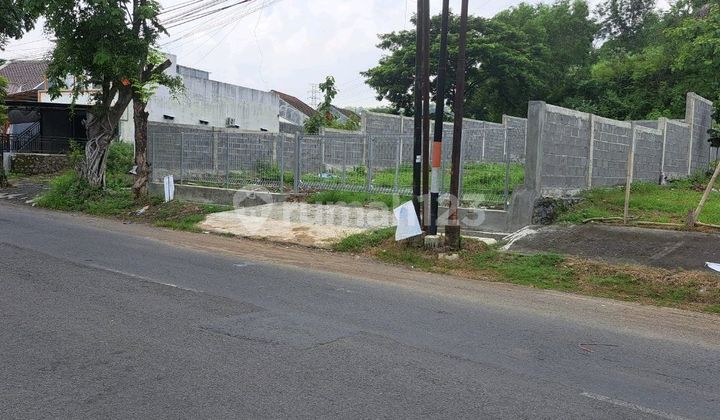 Tanah Luas Lebar 15 Di Elang Raya Sambiroto Semarang 1