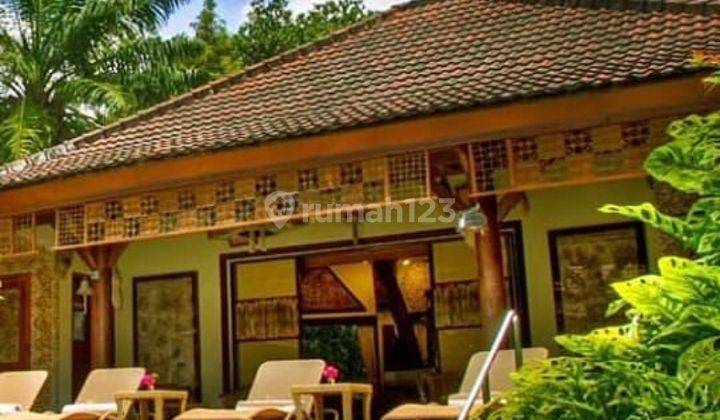 Dijual Murah Rumah Atau Villa Di Denpasar Bali 1