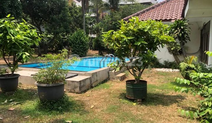 Dijual Rumah Murah Hitung Tanahnya Saja Daerah Cilandak Jakarta Selatan