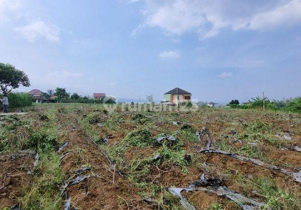 V088 Tanah Siap Bangu di Graha Dewata Malang  2