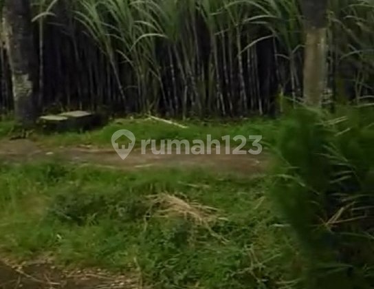 Tanah Siap Bangun di Pakisaji Malang Lokasi Strategis  2