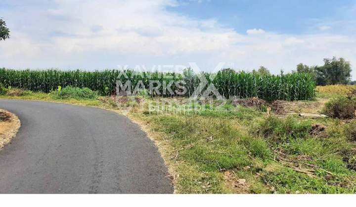 Tanah di Desa Martopuro Kec Purwosari Pasuruan Strategis  1