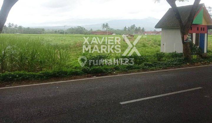 Tanah Lahan Siap Bangun di Jalan Poros Jalibar Kepanjen Malang  1