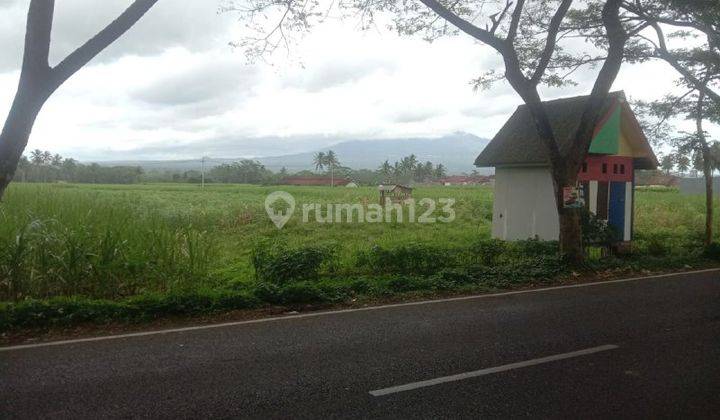 Tanah Lahan Siap Bangun di Jalan Poros Jalibar Kepanjen Malang  2