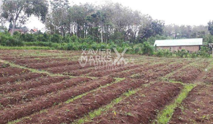 Tanah di Sumbersekar Dau Malang Lokasi Strategis  1