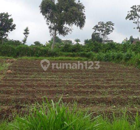 Tanah di Sumbersekar Dau Malang Lokasi Strategis  2