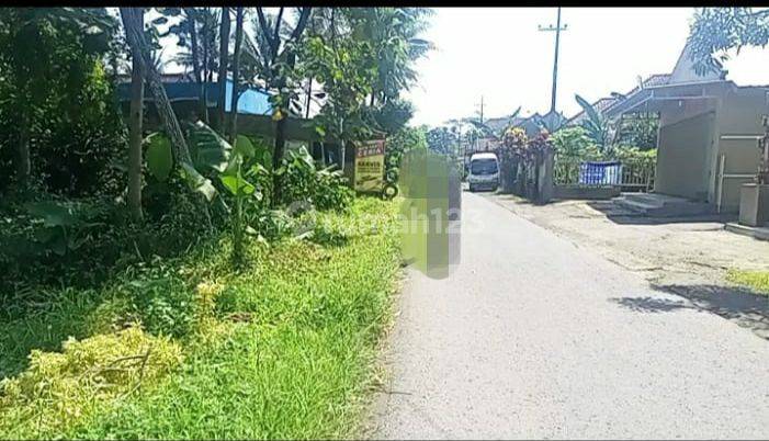 Tanah Poros Jalan di Daerah Pakisaji Malang Lokasi Strategis  2