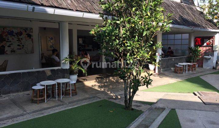 Rumah asri dan terawat, bisa untuk cafe/resto 2