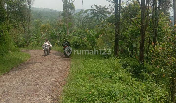 BU! Tanah kebun, cocok untuk vila/investasi 1
