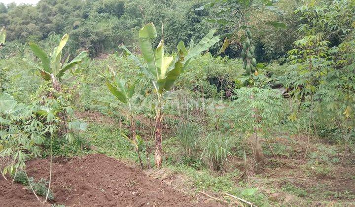 Tanah siap bangun, cocok untuk perumahan 1