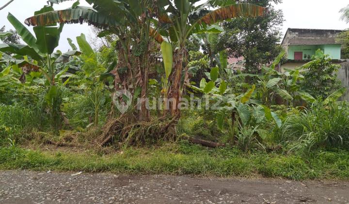 Land Ready to Build Square Near IPB Campus Land Ready to Build Square Near IPB Campus