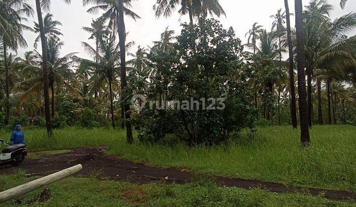 Land For Sale North Bali 1