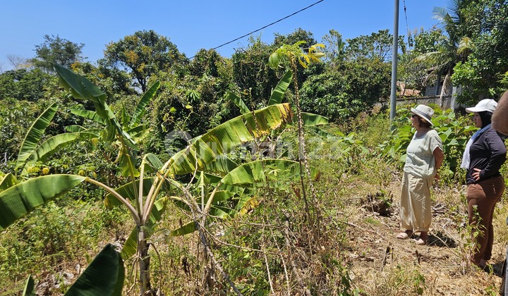 Land for rent. Suitable for villa.