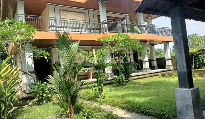 House With Big Land 7
