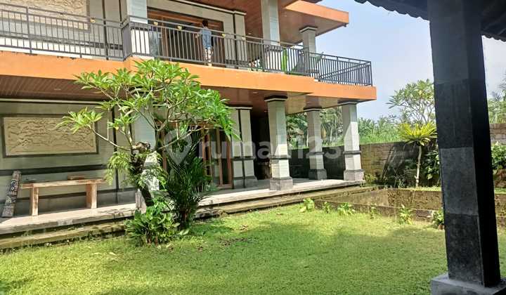 House With Big Land 9