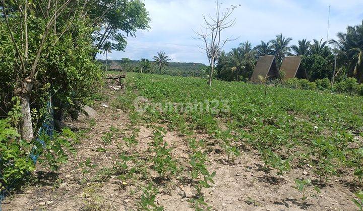 Land For Lease Only 300 Meters From Diamond Beach 2