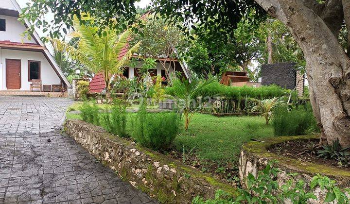 Bungalows At Diamond Beach 3