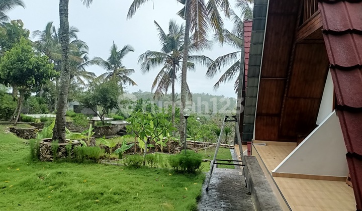 Bungalows At Diamond Beach 7