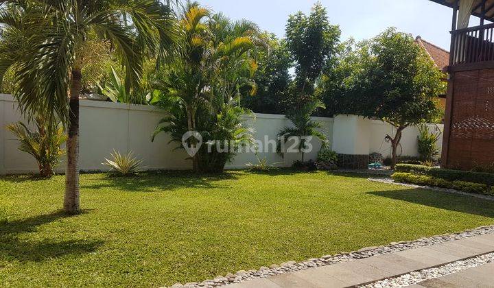 House For Rent Located Central Of Lovina 17