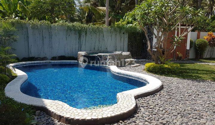 House For Rent Located Central Of Lovina 18