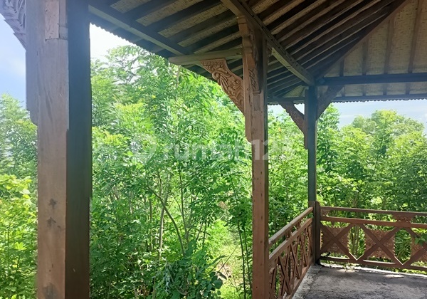 North Bali Villas For Sale  8