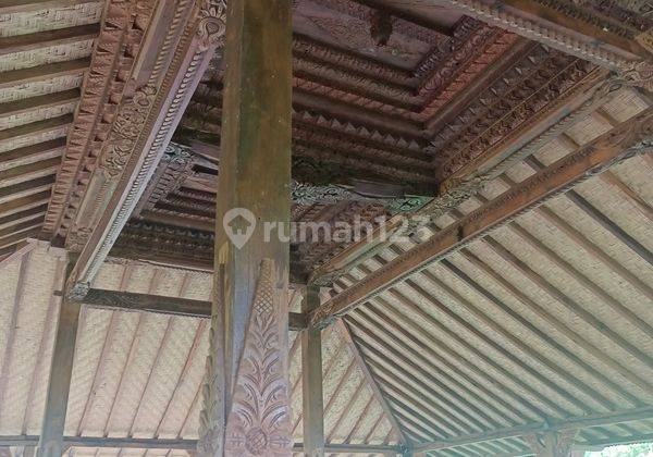 North Bali Villas For Sale  12