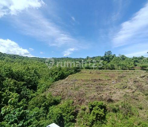 North Bali Villas For Sale  90