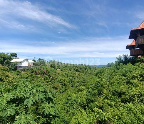 North Bali Villas For Sale  109