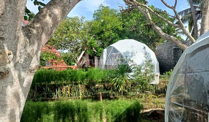 Cottage for rent long term  8