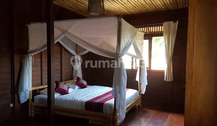Villa Lovina bali 4