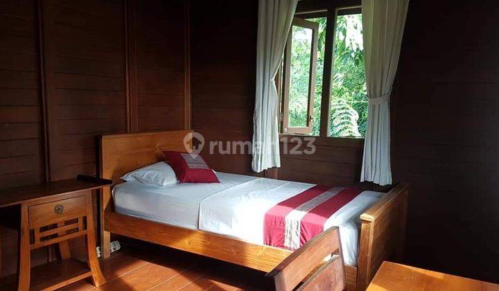 Villa Lovina bali 13