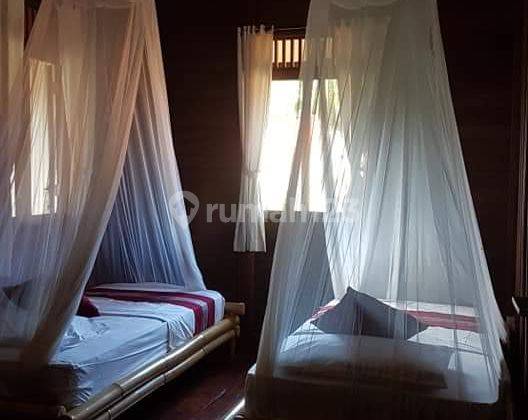 Villa Lovina bali 15