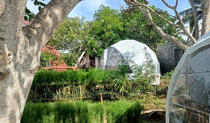 Cottage And Bubel Room Nusa Penida 15