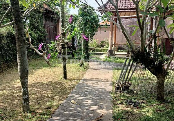 Bungalows di Jual Cepat Harga Murah 1