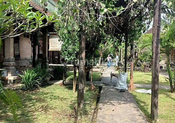 Bungalows di Jual Cepat Harga Murah 2