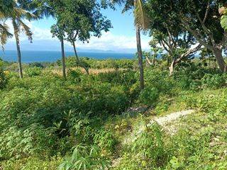 Land For Rent Good View Nusa Penida 1