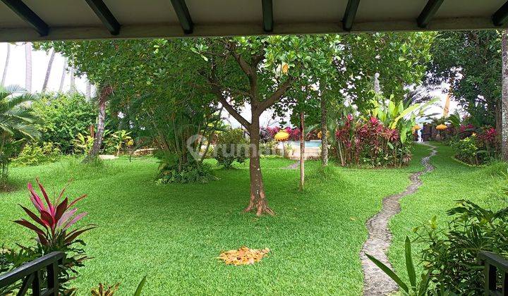 Villa Beach Front North Bali 7