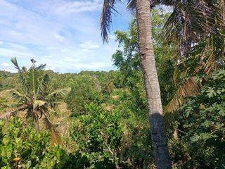 Land Very Cheap For Rent Beach View 1