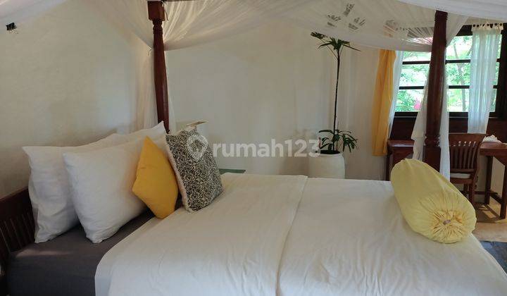 Villa For Rent Long Term Only For 38 Years 2