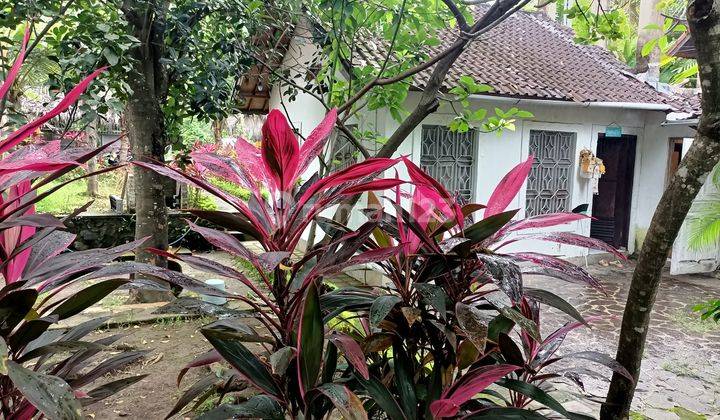 Villa For Rent Long Term Only For 38 Years 15