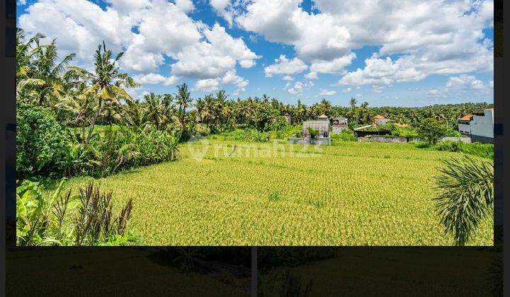 House for rent ..still negotiable 1